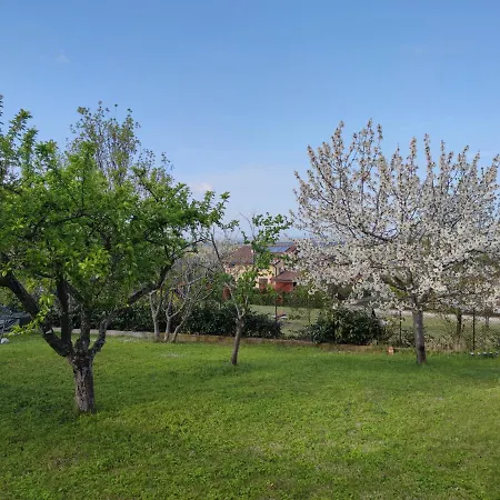 Relax In Collina A Due Passi Dal Mare דירה *