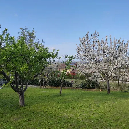 Relax In Collina A Due Passi Dal Mare شقة *