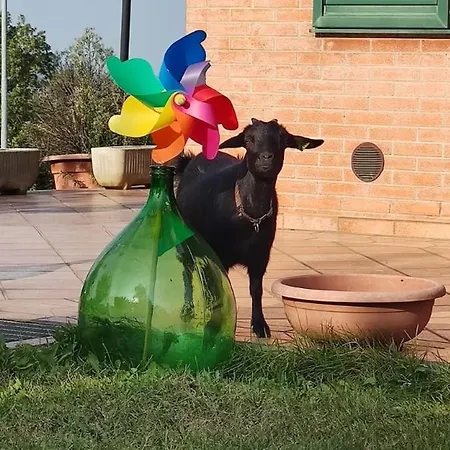 Relax In Collina A Due Passi Dal Mare