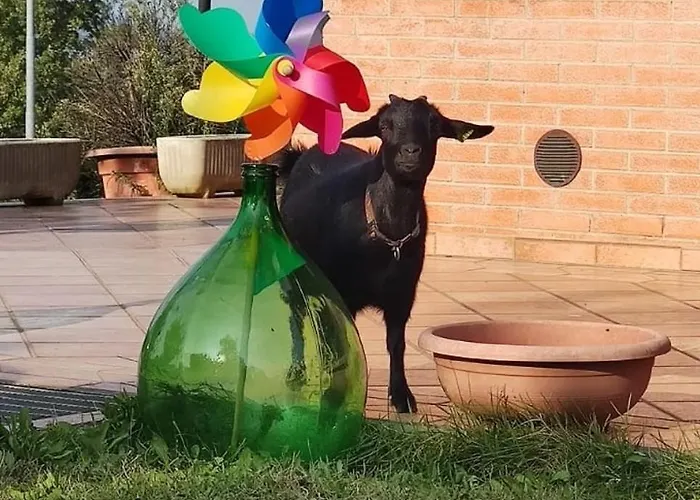 Relax In Collina A Due Passi Dal Mare